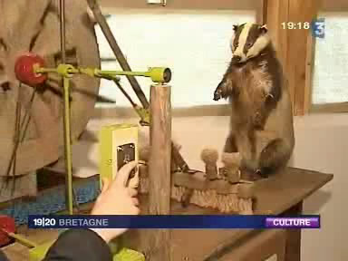 Impossible de lire la video